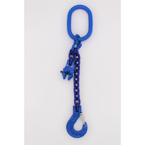 Catena Da Imbracatura Grado 10 1 Filo 3,0 M 10 Mm Con Accorciamento Blu-image