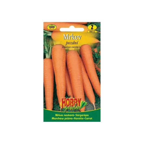 Carota Tardiva, 1300 Semi-image