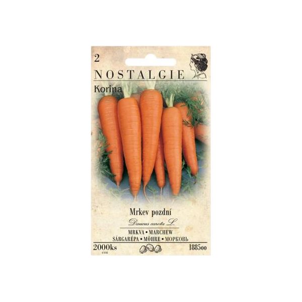 Carota Tardiva Korina-image