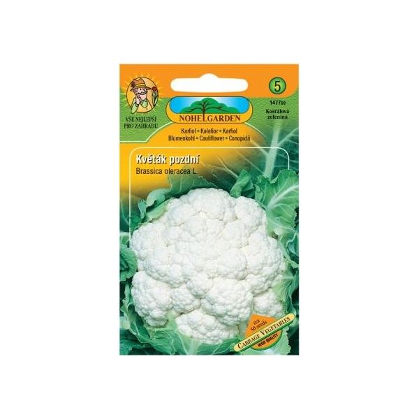 Cavolfiore Tardivo Dell'orto Di Nohel-image