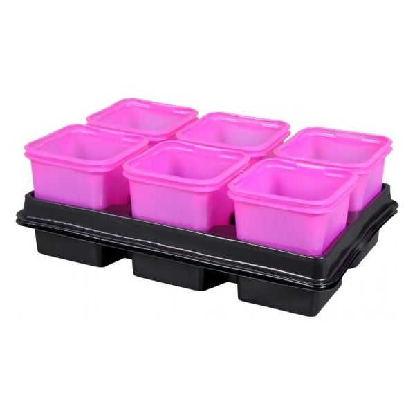 Fioriera Da Giardino Nohel Rosa + Sottovaso 8X8X8Cm 2X6Pz-image