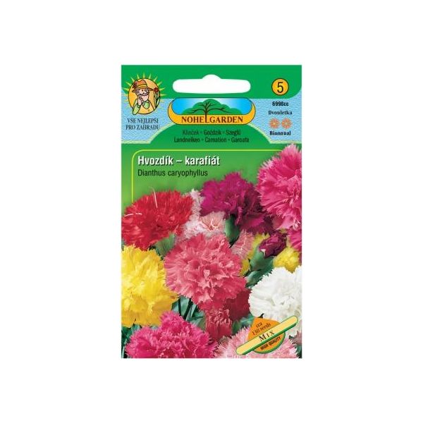 Garofano Di Nohel Garden Knotweed, Miscela-image