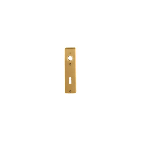 Hoppe Zt-Kurzschild 202KP Buntbart Gelocht,E72 Alu, F4 Eloxiert,StüCk (3105609)-image