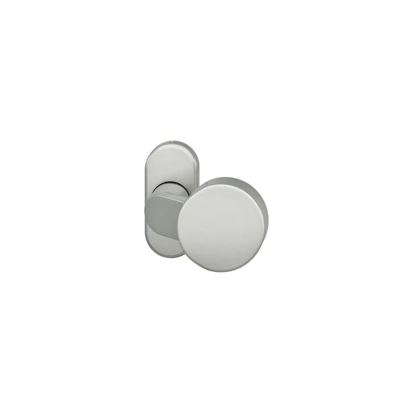 Fsb Pt-TüRknopf, 07 0809, A.Ros.Oval, Alu F1 (0 07 0809 22801 0105)-image