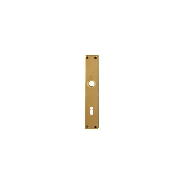 Hoppe Zt-Langschild London,202Sp,Bb,E72 Sichtbar Verschraubt Bronzefarbig Eloxiert (3104964)-image