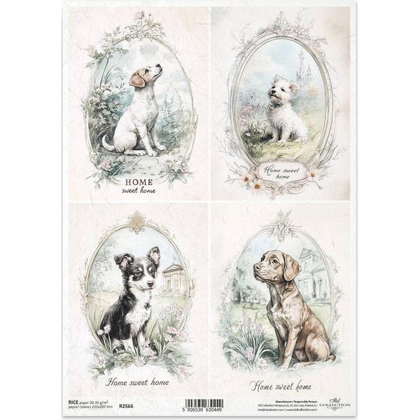 Itd Carta Di Riso Decoupage Tecnica Artigianale Tovagliolo Di Carta-R2566 Cani-image