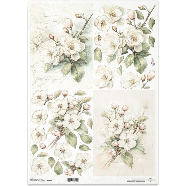 Carta Di Riso Per Decoupage Carta Per Decoupage A3 Itd R1428L Fiori Di Melo-image