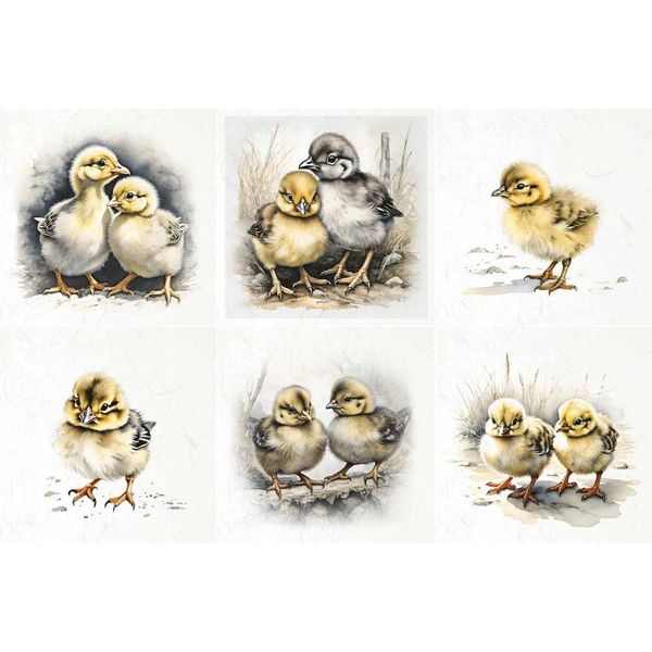 Set Di Carta Di Riso - Itd - RSM109 Galline-image