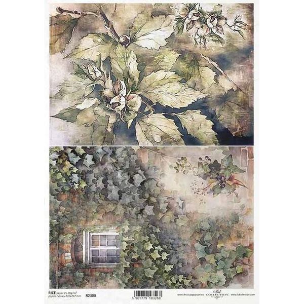 Itd Carta Di Riso Decoupage Tecnica Artigianale Tovagliolo Di Carta R2300 Piante, Edera, Finestra, Autunno-image