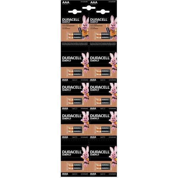 Batterie Alcaline Duracell Basic Aaa LR03 20 Pezzi In Blister-image