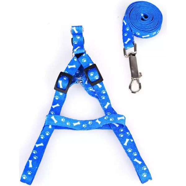 Pettorina Con Guinzaglio Per Cani E Gatti 150/2Cm Blu-image
