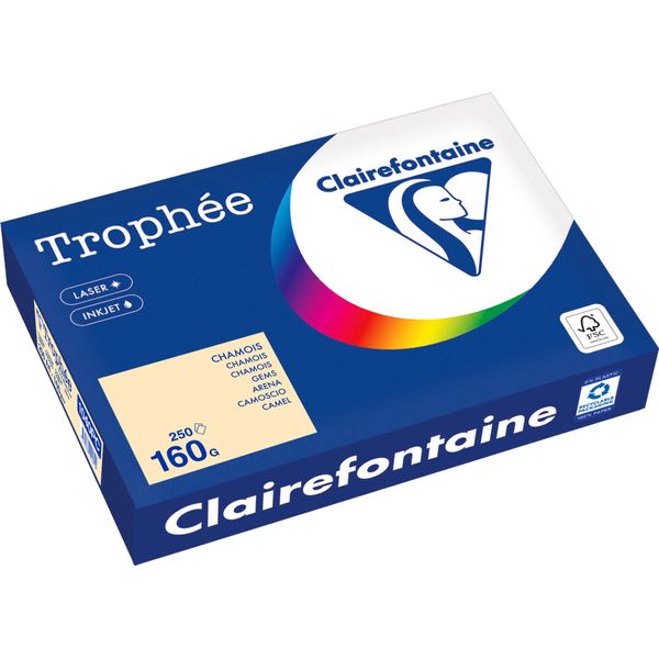 Clairefontaine Kopierpapier 1040PC A4 160G Chamois 250Bl-image