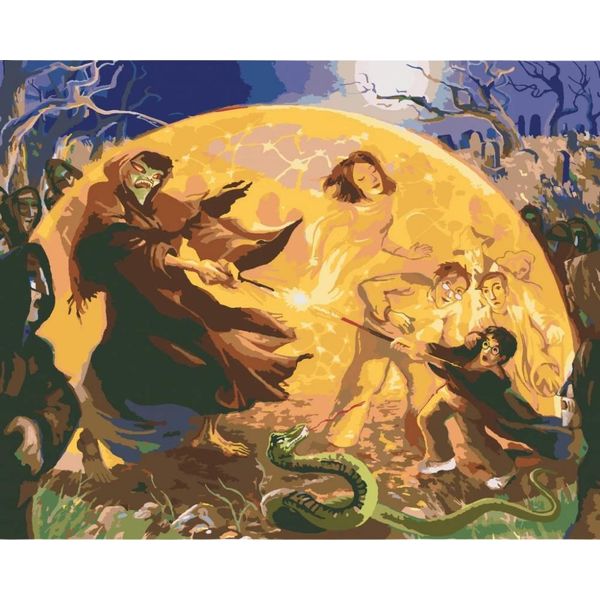 Quadro Numerico Con Cornice Harry Potter E Lord Voldemort 50X40 Cm-image