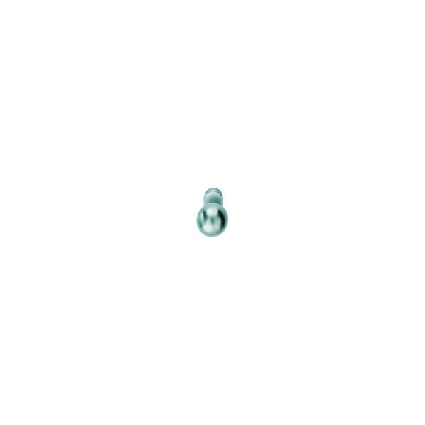 Fsb Pt-TüRknopf, 07 0802, A.Ros.Oval, Alu F1 (0 07 0802 22801 0105)-image