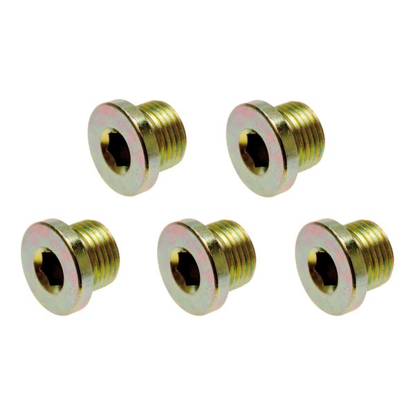 Bgs ÖLablassschrauben Zu Art. 126 M20 X 1,5 Mm 5 Teilig ; Bgs Technic (126-SM20)-image