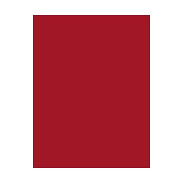Folia 67/25 20 Folia Tonpapier, (B)500 X (H)700 Mm, 130 G/Qm, Hochrot-image