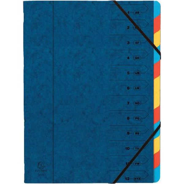Organizer Exacompta, Din A4, Cartone, 12 Cartelle, Blu-image