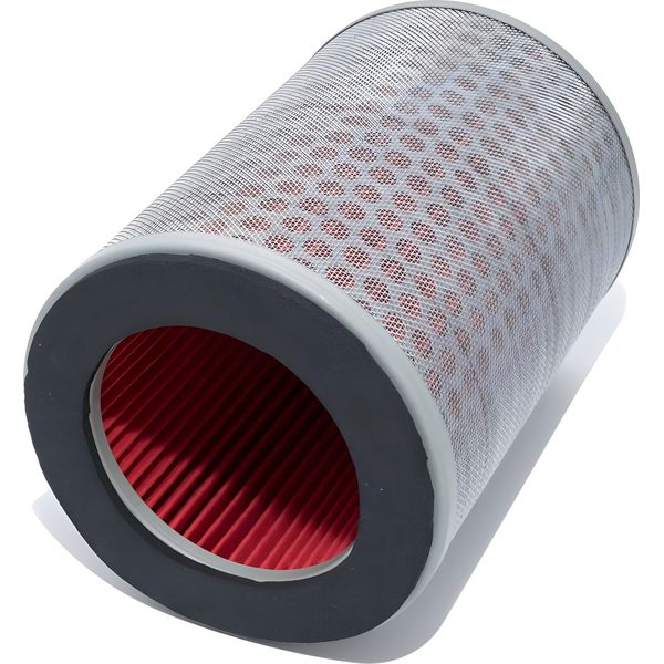 Filtro Aria Hiflo HFA1602 Compatibile Con Honda Cb F Hornet / Cbf N 500 / 600-image