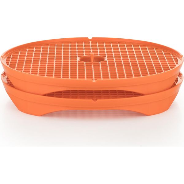 BöRner Crispymaker Set Di 2, Patatine Vegane, Patatine Vegetali Per Microonde Patatine Senza Grassi Patatine Di Carote Patatine Di Mele, Colore:Verde-image