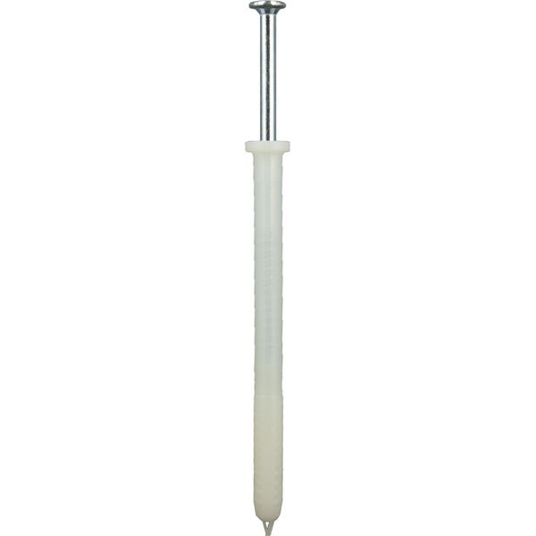 Spina A Chiodo Speedplug Sp, Colletto Piatto, Testa Di Cilindro 200 Pezzi-image