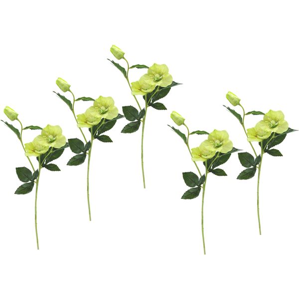 Kunstblume I.Ge.A. "Christrose", GrüN, B:12Cm H:57Cm L:5Cm, Obermaterial: 90% Polyester, 10% Kunststoff, Kunstpflanzen, KüNstlich Seidenblumen, 5Er Set-image