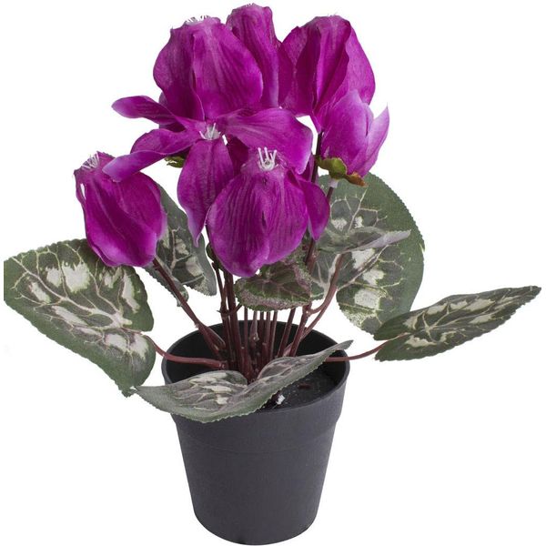 Kunstblume BOTANIC-HAUS "Alpenveilchen", Bunt (Beauty), B:20Cm H:24Cm T:20Cm Ø:20Cm, Kunststoff, Kunstpflanzen-image