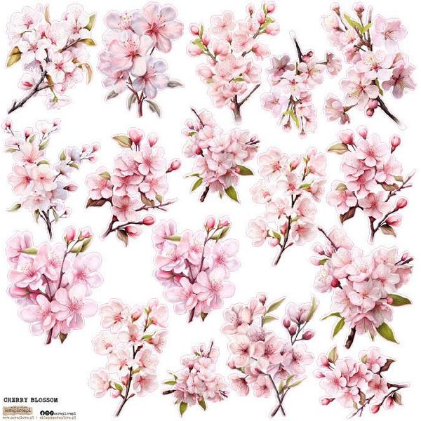 Adesivo - Scraplove - Fiori Di Ciliegio Fiori Di Melo-image