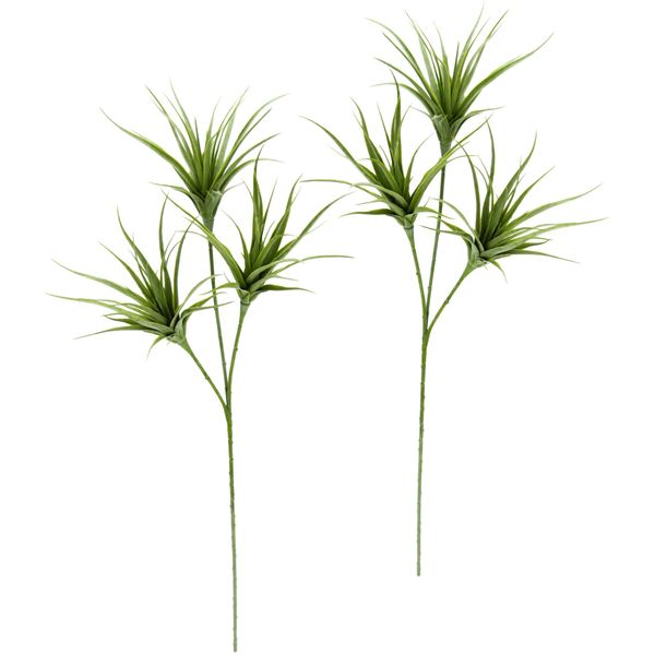 Kunstpflanze I.Ge.A. "Tillandsia", GrüN, B:23Cm H:63Cm, Kunststoff, Kunstpflanzen, Kunstpflanze, 2Er Set-image