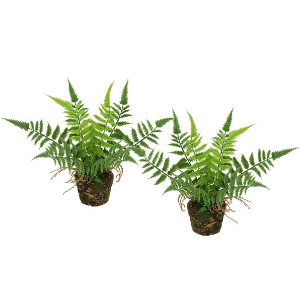 Kunstpflanze I.Ge.A. "KüNstlicher Waldfarn Im Topf", GrüN, B:14Cm H:23Cm L:12Cm, Kunststoff, Kunstpflanzen, Kunstpflanze, 2Er Set Farn BüSche Pflanze Deko GrüNpflanze Waldpflanze Zimmerpflanze-image
