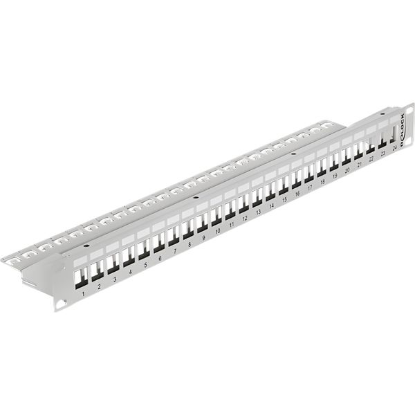Delock Keystone Patch Panel - Patch Panel - Grau - 1U - 24 Ports (43302)-image
