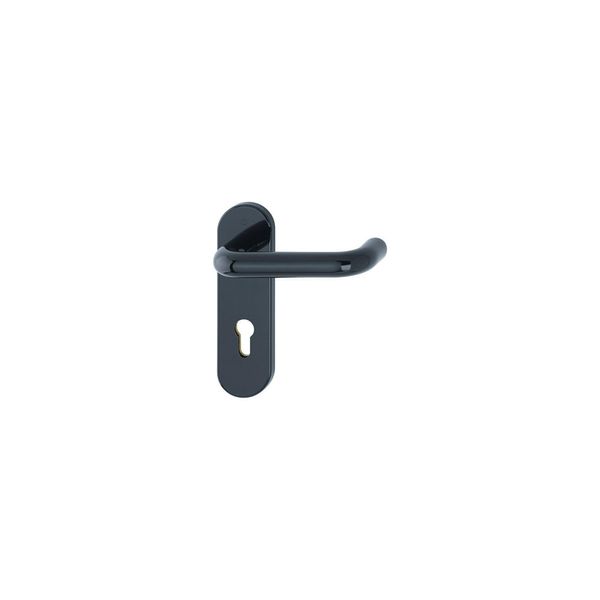 Hoppe Fh-Drg,Kurzschild Paris FS-K138/353K Pz,9/72,Oval Tiefschwarz,Ap (667741)-image