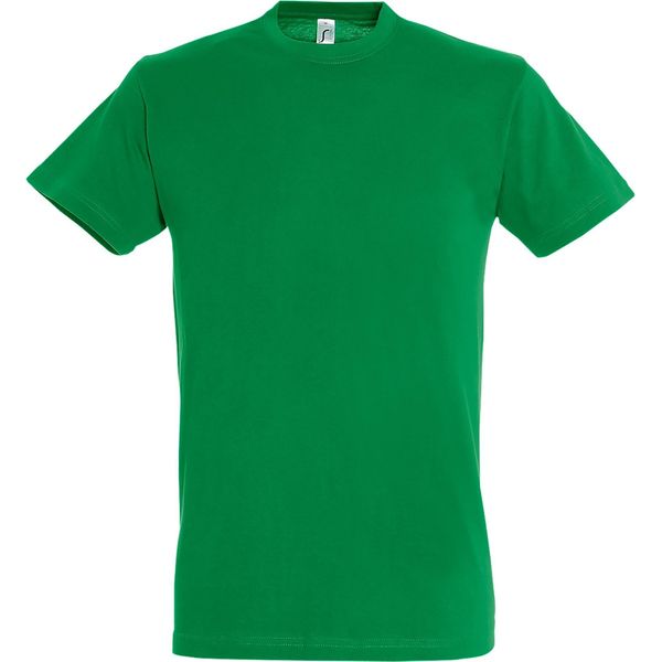 T-Shirt Sols Regent Da Uomo, Manica Corta PC288 (3XL) (Verde Kelly)-image