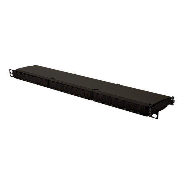 Digitus DN-91624S-SL-EA - Patch Panel - RJ-45 X 24 - Schwarz, Ral 9005 - 0,5U (DN-91624S-SL-EA)-image
