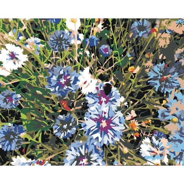 Zuty - Pittura Per Numeri - Crpy Blue, 40X50 Cm, Senza Cornice E Senza Spegnimento Della Tela-image