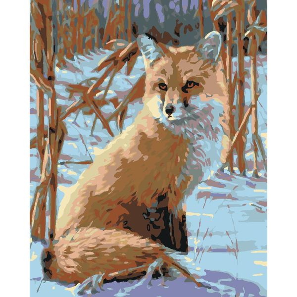 Zuty - Quadro Numerico - Looking Fox, 40X50 Cm, Senza Telaio-image