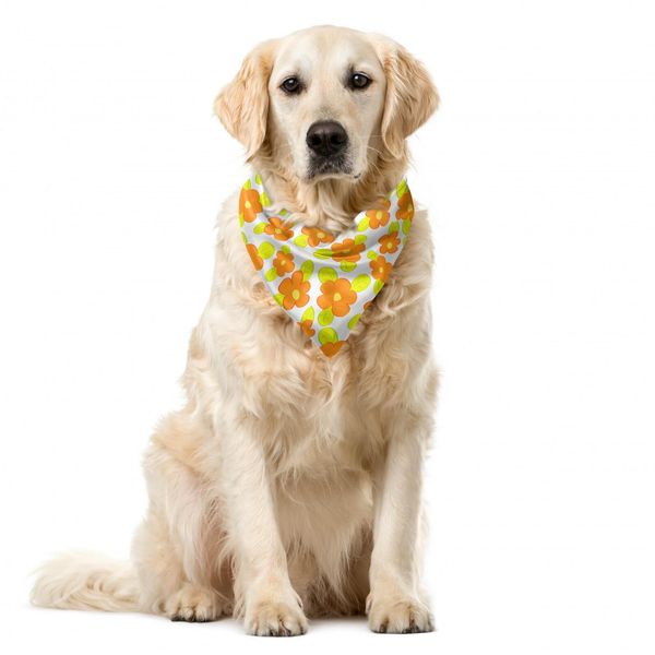 Abakuhaus Bandana Arancione Per Animali Domestici, Bambina-Ragazza-Doodle Floreale, 40X40 Cm, Mela, Verde, Arancione-image