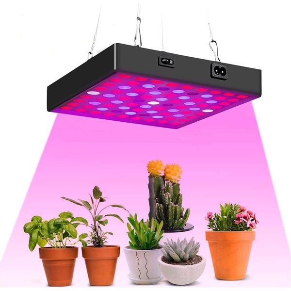 169 Led Pianta Lampada Crescere Lampada Spettro Completo Indoor Pianta Crescere Lampada Pianta Luce-image
