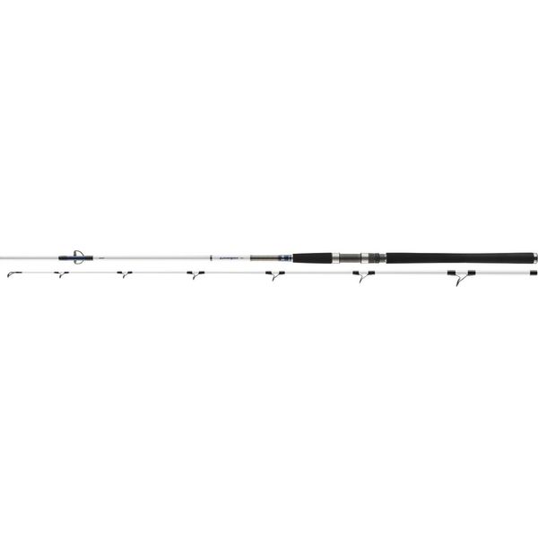 Daiwa Grandwave Pilk , 2,1M, 6,89Ft, 50-125G, 2 Pezzi, Canna Da Pesca Pilk , 11883-210-image