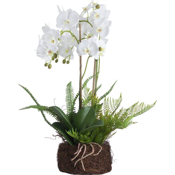 Hill Interiors - Pianta Artificiale, Orchidea HI3354 (Taglia Unica) (Bianco)-image
