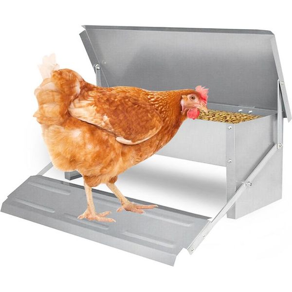 Jiubiaz Alimentatore Automatico Per Pollame Alimentatore Automatico Per Polli Alimentatore Automatico Per Anatre 5KG-image