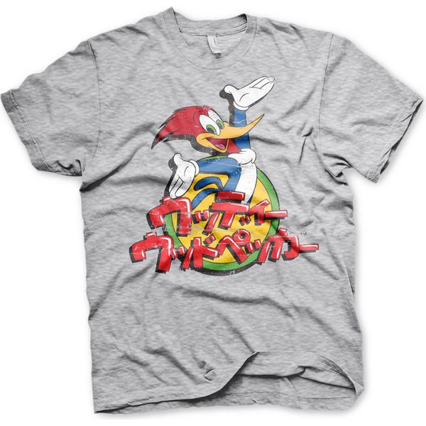Maglietta Woody Woodpecker Con Logo Giapponese Lavato - Medium - Heather-Grey-image
