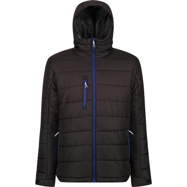 Regatta Professional - Giacca Trapuntata Da Uomo RG9401 (Xl) (Nero/Blu Reale)-image