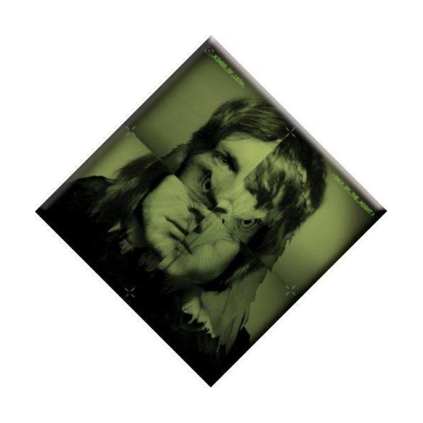 Kings Of Leon - Magnete Da Frigo "Only By The Night"", Manica Del Disco RO8871 (Taglia Unica) (Verde)"-image