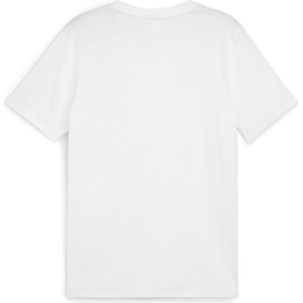 Puma Teamgoal Casuals Tee Jr 128-image