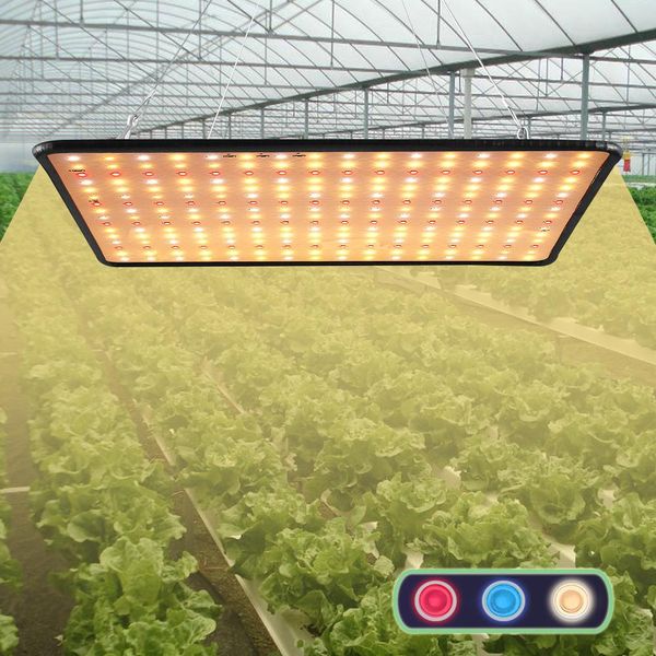 Luce Solare Della Lampada Della Pianta Del Led, Lampada Di Crescita 256 Led (Rosso, Blu, Bianco Caldo), Luce Della Pianta Ha Condotto La Lampada Di Sviluppo Per I Fiori Della Serra Della Pianta D'appartamento-image