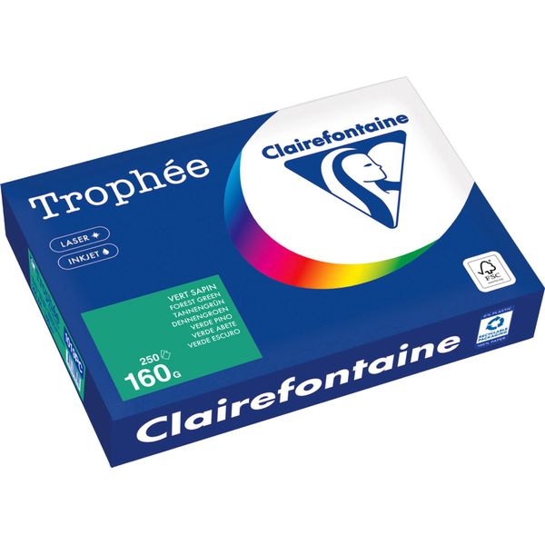 Clairefontaine Kopierpapier 1019PC A4 160G TannengrüN 250Bl-image