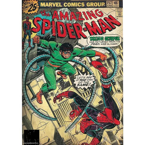 Spider-Man - Stampa Su Tela Con Cornice PM11258 (Taglia Unica) (A Colori)-image