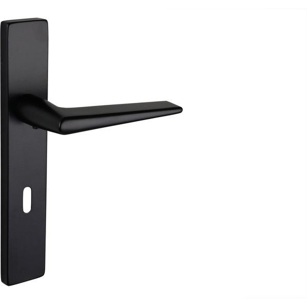 Maniglia Per Porta Lavuzo Modena Nera Con Piastra Rettangolare SL72 - Pro Set-image