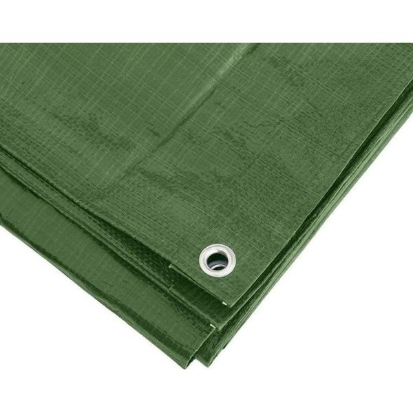 Telone Verde 6 X 8 M - 90 G Per M2-image
