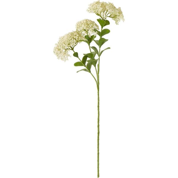 Hill Interiors - Fiore Artificiale HI5062 (Taglia Unica) (Colore Crema)-image